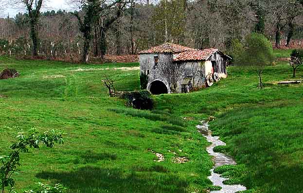 moulin.jpg